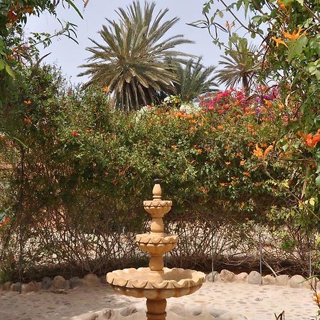 La Palmeraie De Massa Zaouit Massa Экстерьер фото