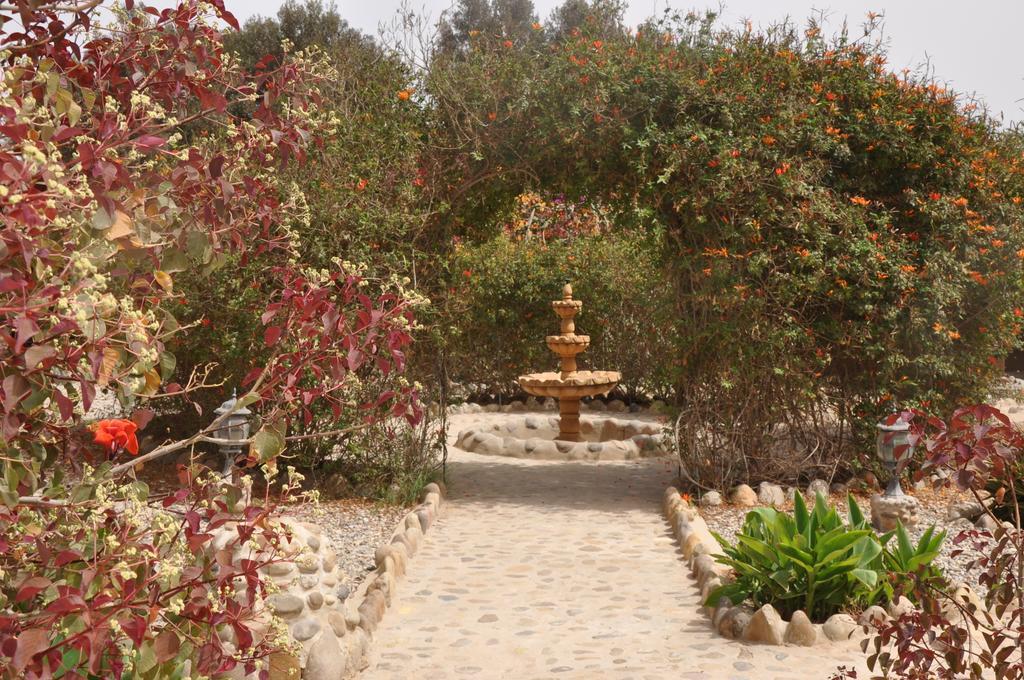 La Palmeraie De Massa Zaouit Massa Экстерьер фото